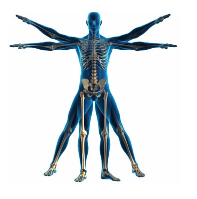Taller de Kinesiología